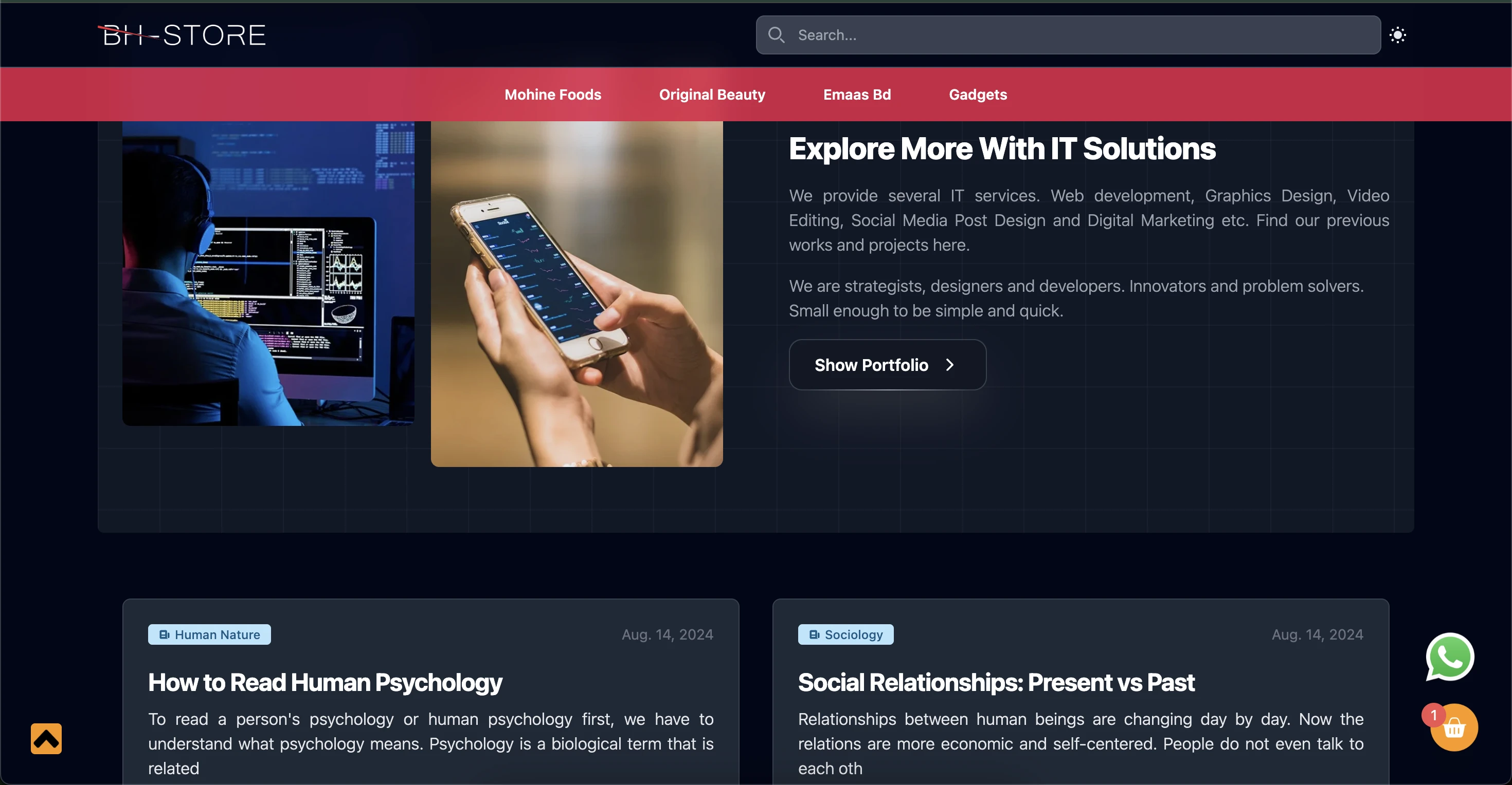 Single Project Gallery Image